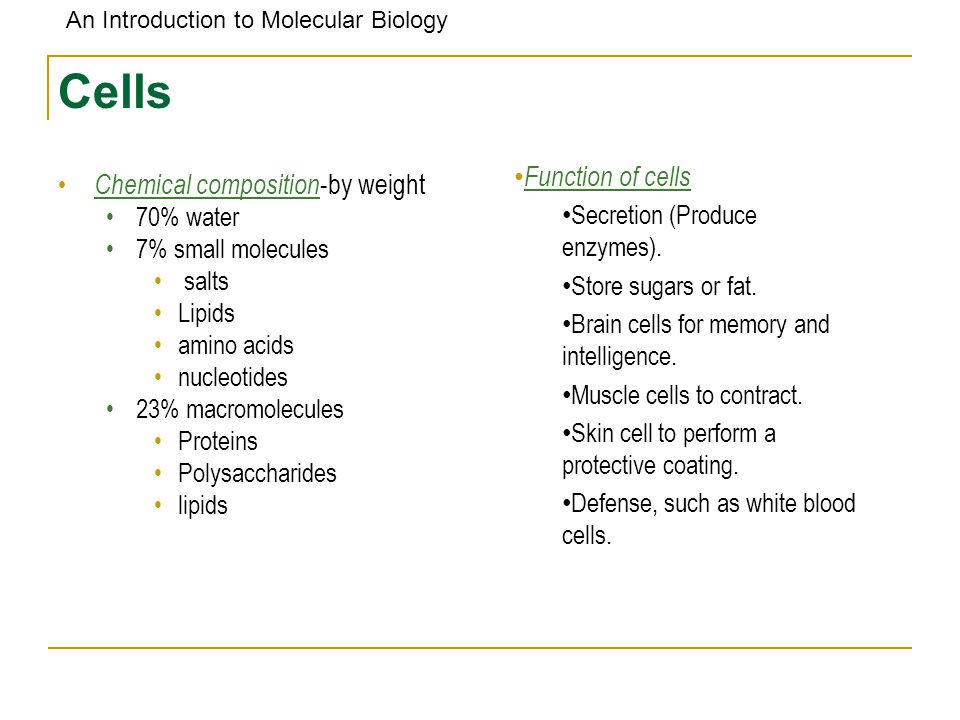 What is the Chemical Composition and Molecular Structure of Cell Membrane?